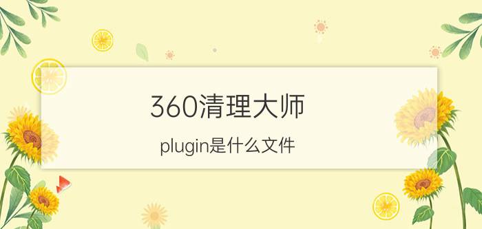 360清理大师 plugin是什么文件？